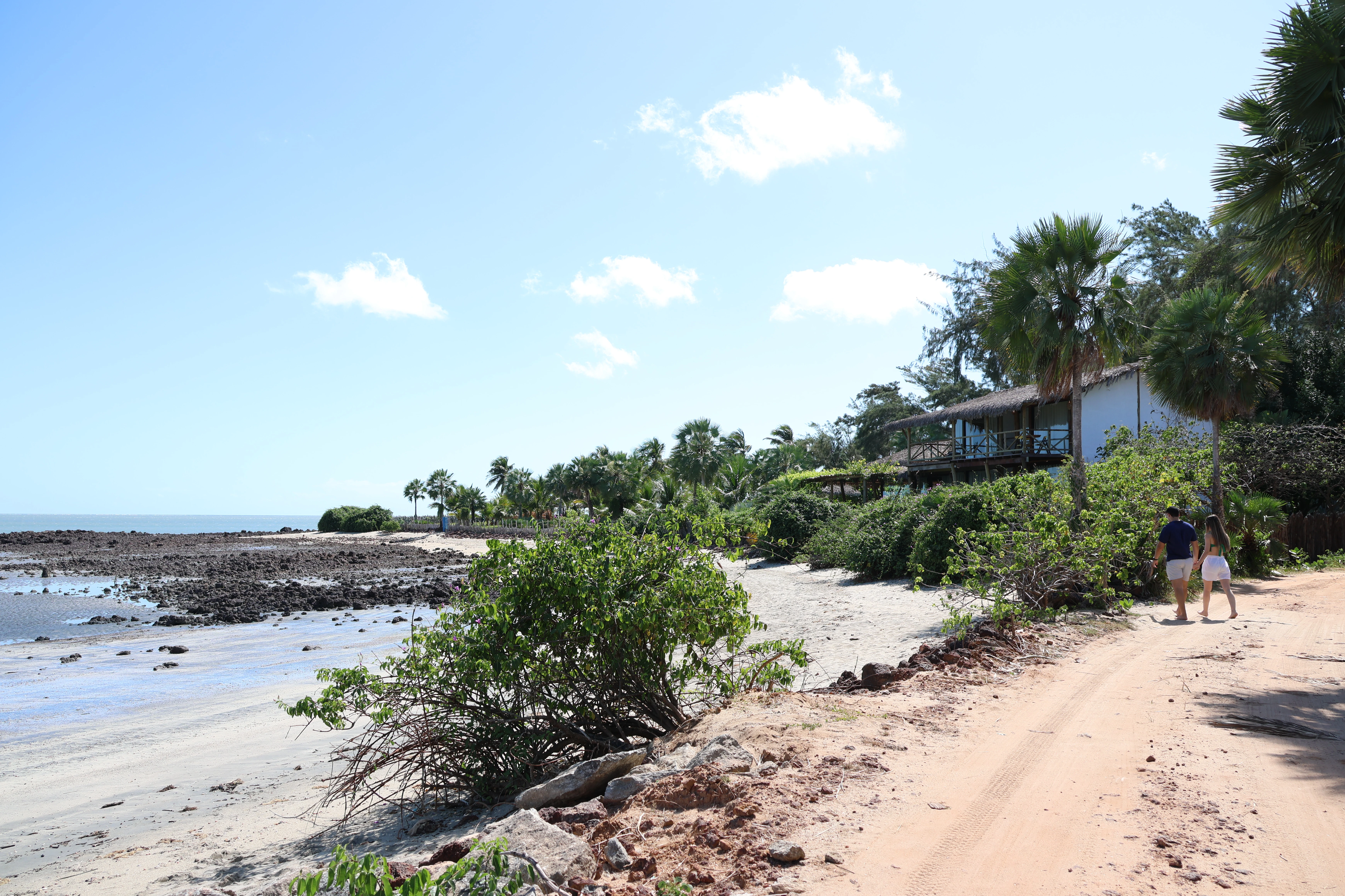 Praia e vegetação da vila de Barra Grande